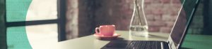 Mint Language Consultancy